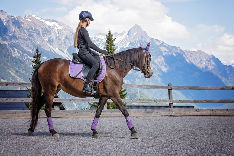 Horseback Riding